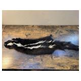 AUTHENTIC SKUNK PELT