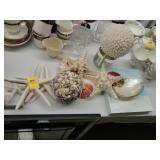 Lot of nautical items, including star fish and