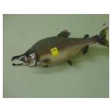 Green and peach colored salmon trophy