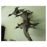 Three mounted ducks in flight, on driftwood