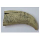 Scrimshawed Whale Tooth