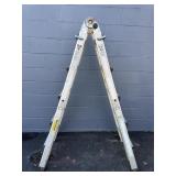 Cosco Folding Ladder