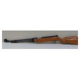 17 Caliber Air Rifle