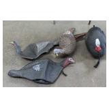 Turkey Decoys