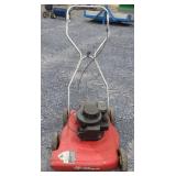 Sycamore 19 Push Mower