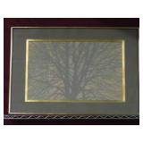 Large Signed Screen Print Of Tree Canopy