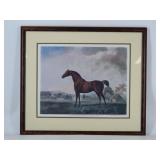 Sweet William Equestrian Print