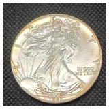 1987 American Silver Eagle Dollar