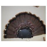 Turkey Fan Mount