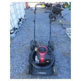 Murray 21 in. Push Mower