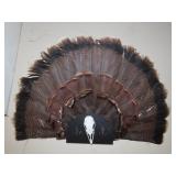 Turkey Fan Mount
