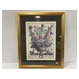 Framed Botanical Calendar Prints