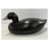 Coot Duck Decoy