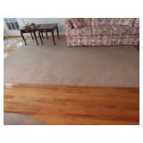 Large Area Rugs