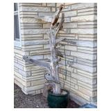Driftwood Bird Tree Garden Display