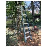 Werner Electro-Master Step Ladder