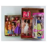 Fashion Dolls and Boxed Dolls