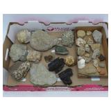 Geological & Fossil Specimen Collection