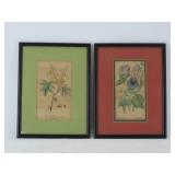 Framed Botanical Prints