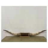 Longhorn Steer Horns