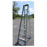 Werner Fiberglass Step Ladder
