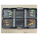 Carbon Arrows With Hard Case
