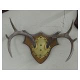 Deer Antler Mount