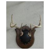 Deer Antler Mount