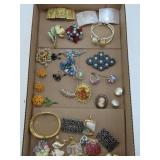 Costume Jewelry Brooch Collection