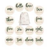 7-Pc 3D Baby Milestone Discs