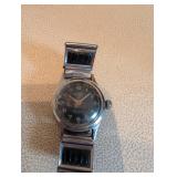 Monarch Beaver Watch