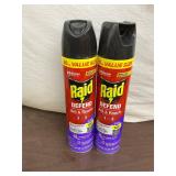 Raid Ant & Roach Spray