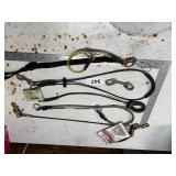 Dog Restraint Systems