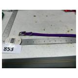 Purple Nylon Dog Collar