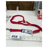 Red 6-Ft Dog Leash