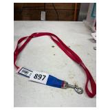 Red Nylon Dog Leash, 6 ft