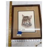 Framed Bobcat Print