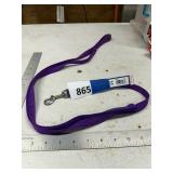 Purple Nylon Dog Leash