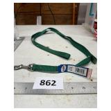 Green Nylon Dog Leash