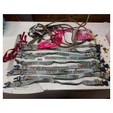 Dog Collars and Leashes