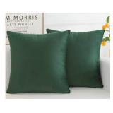 Herayli Velvet Pillow Covers