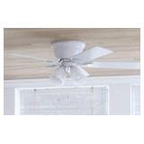 Ceiling Fan with Lights