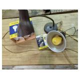 Metal Desk Lamp & Bulbs