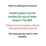 There is a 8% Buyers Premium