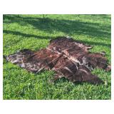 New Jumbo Brazilian Cowhide