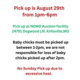 Pick Up is August 29th 1-6pm