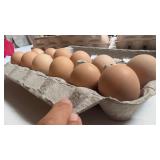 Orpington hatching eggs, Color variety, see photos