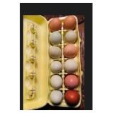 One Dozen Rainbow Hatching Eggs