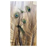 Set of five fresh peacock feathers for decoration