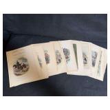 Collection of Loose Pages from Vintage British Books Featuring Steel Engraved or Colored Lithograph Illustrations Which Appear to be by Artists Such As Phiz (Hablot Knight Browne)